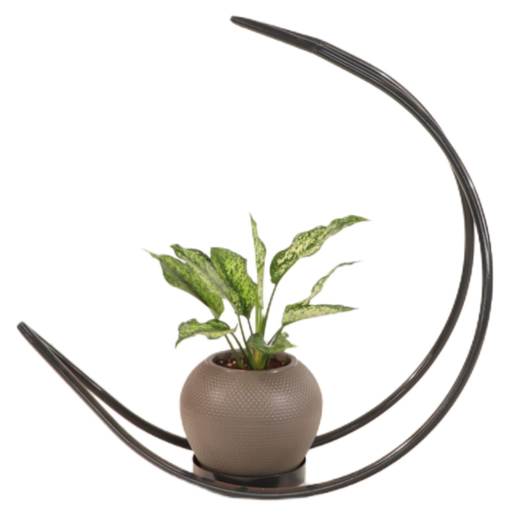 استند چندمنظوره هما