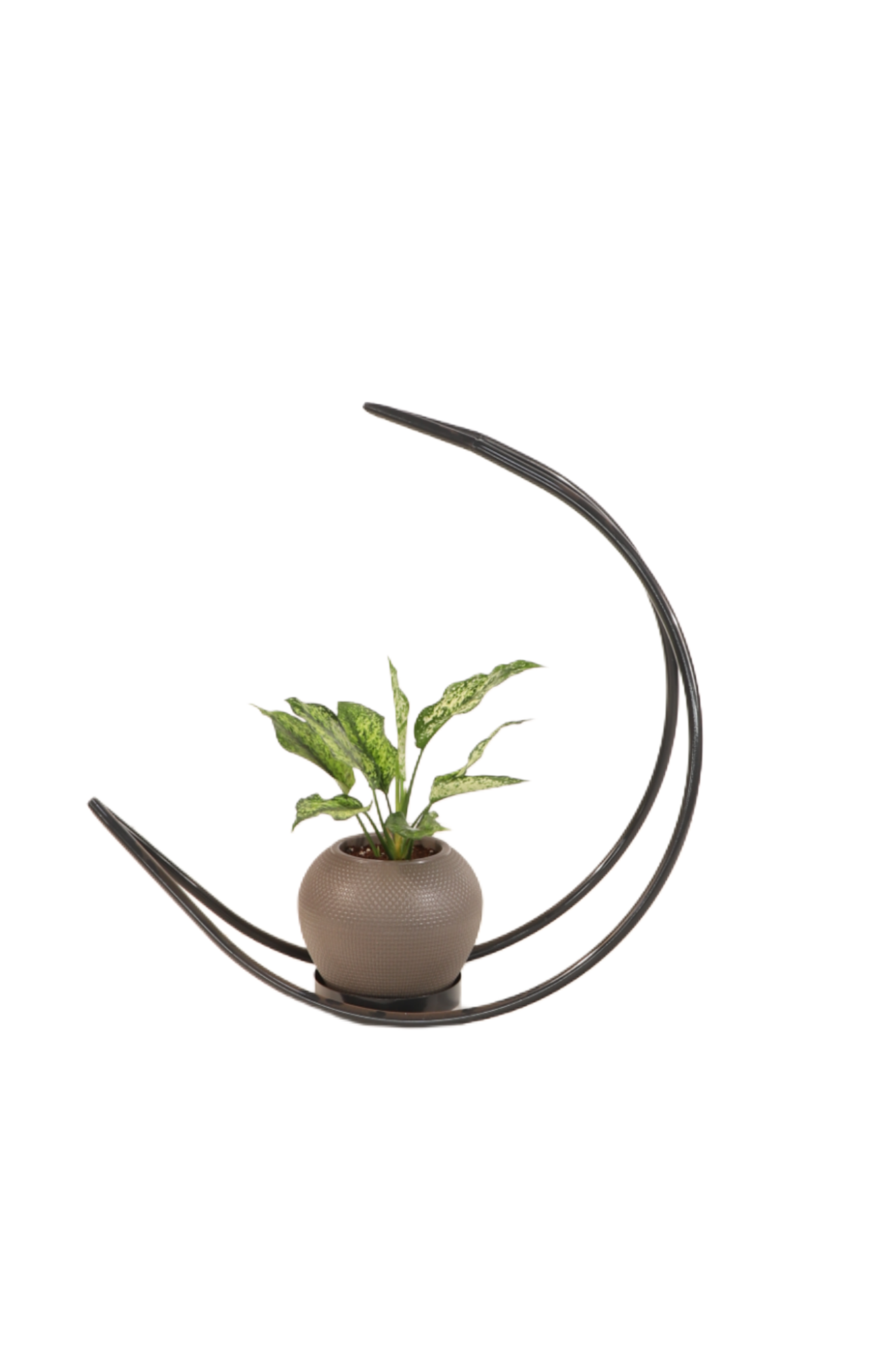 Homa Multipurpose Stand