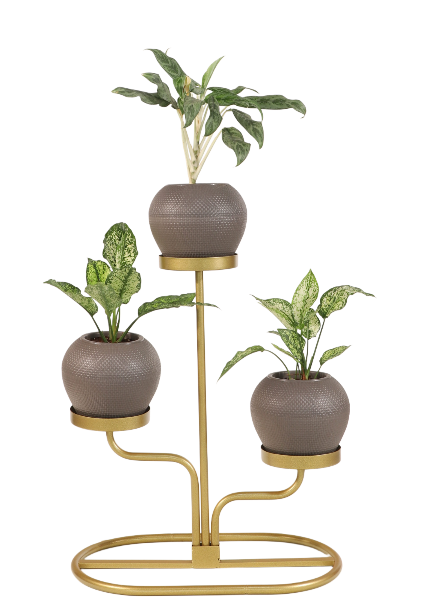 استند چندمنظوره پارمیس